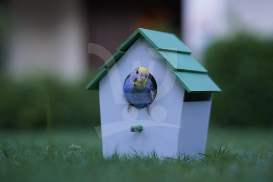 (Pack of 4) PVC Bird House Waterproof New Style