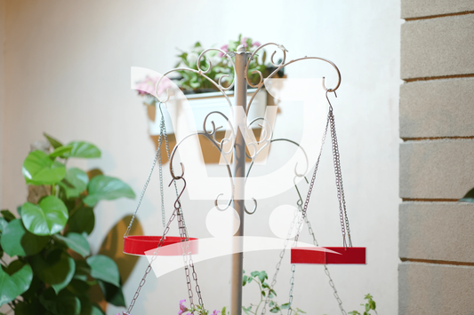 Water Bird Hanging Feeder