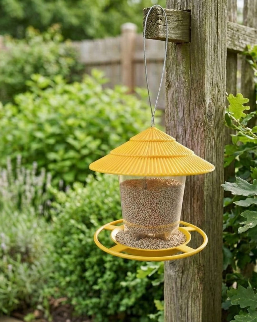Bird Hanging Feeder