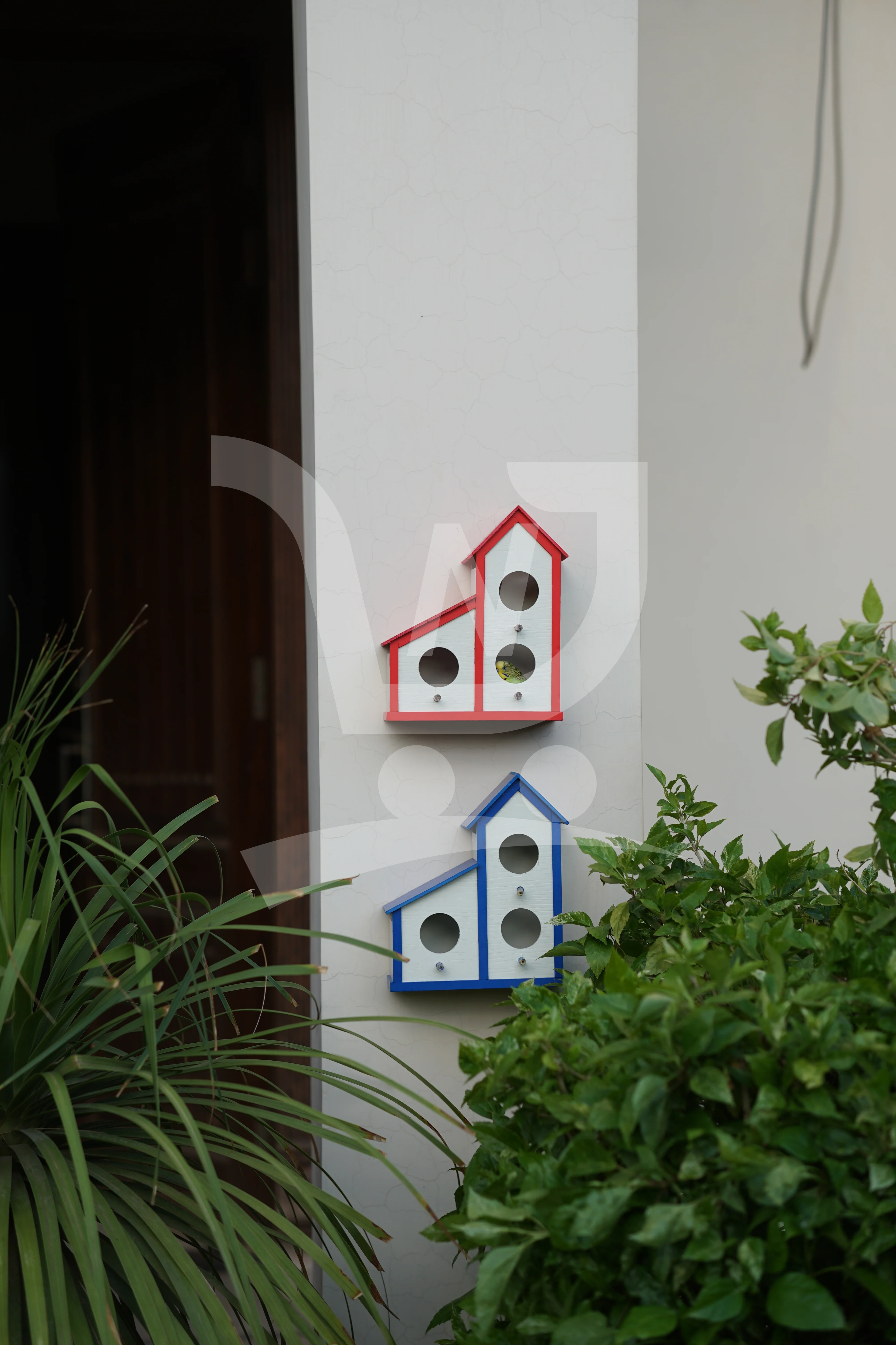 3 in 1 Colony Bird house