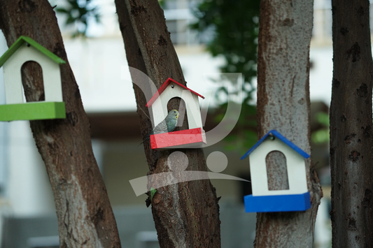 (Pack of 3) PVC Bird Feeder Waterproof