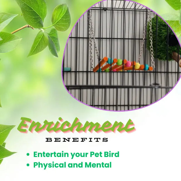 (Pack of 2) Straight Swings – Colorful Wooden Ladder & Swing Set for Parakeets, Cockatiels, Conures & Small Birds