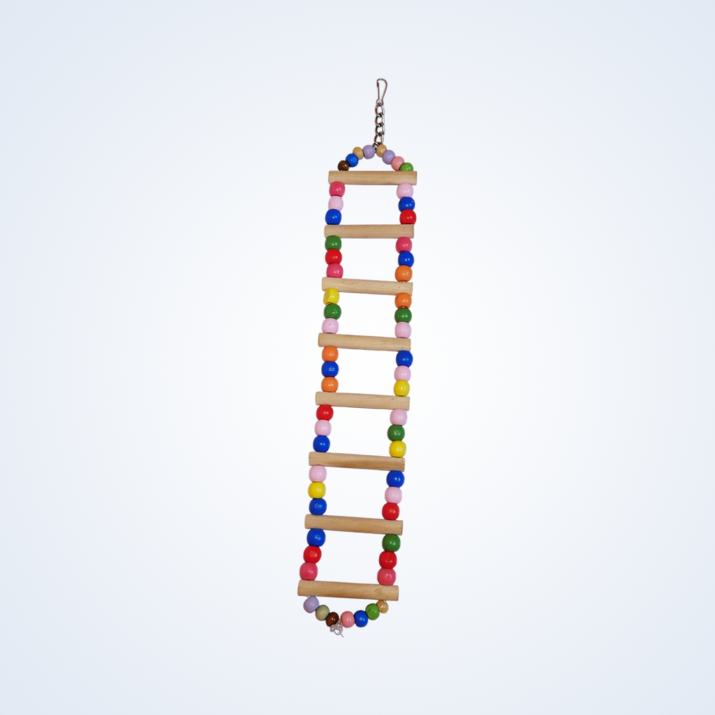(Pack of 2) Ladder Swings for Birds – Colorful Wooden Climbing Ladders & Swing Toys for Parrots, Cockatiels & Small Birds