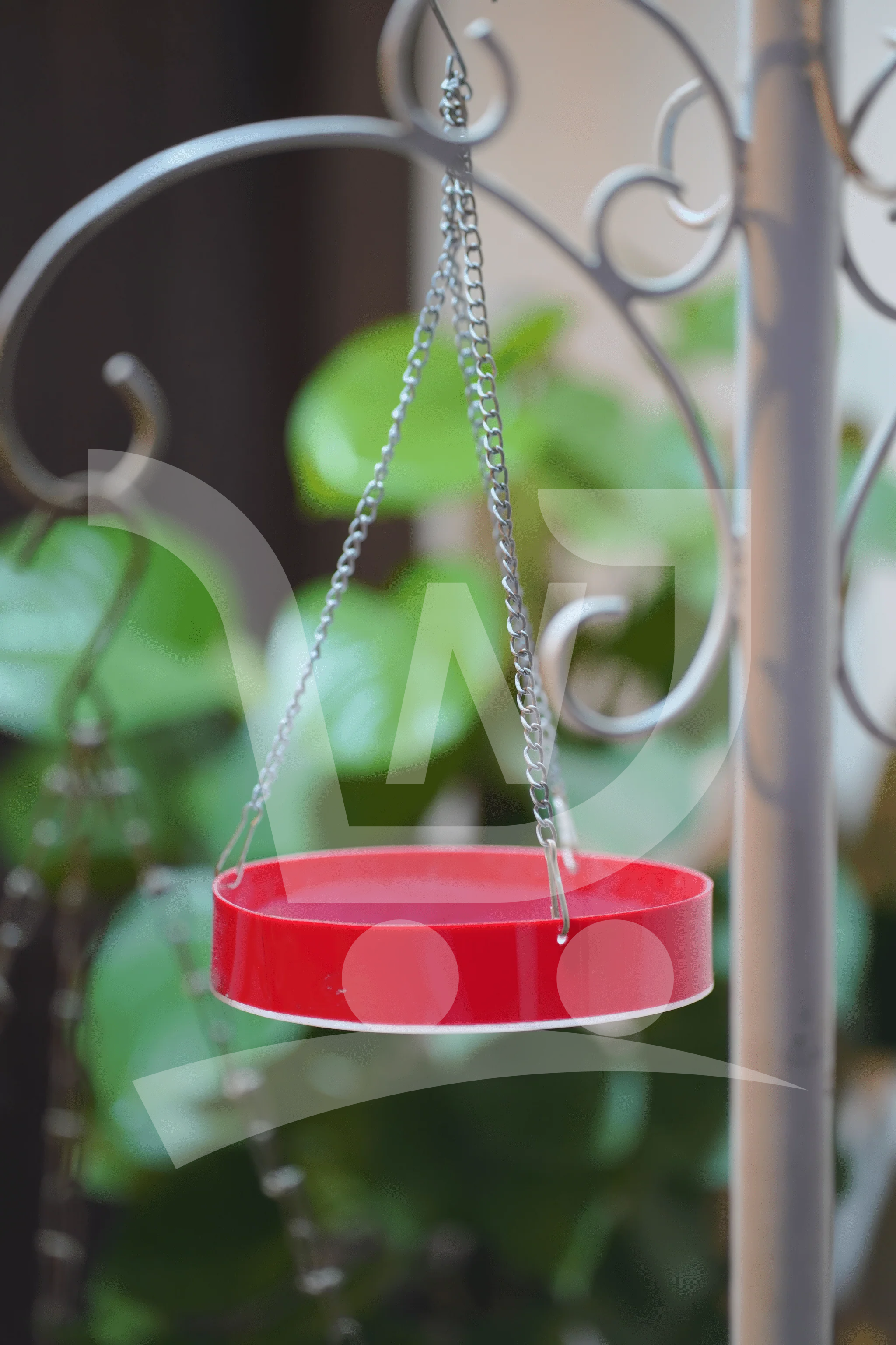 Water Bird Hanging Feeder
