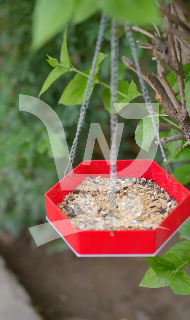Water Bird Hanging Feeder