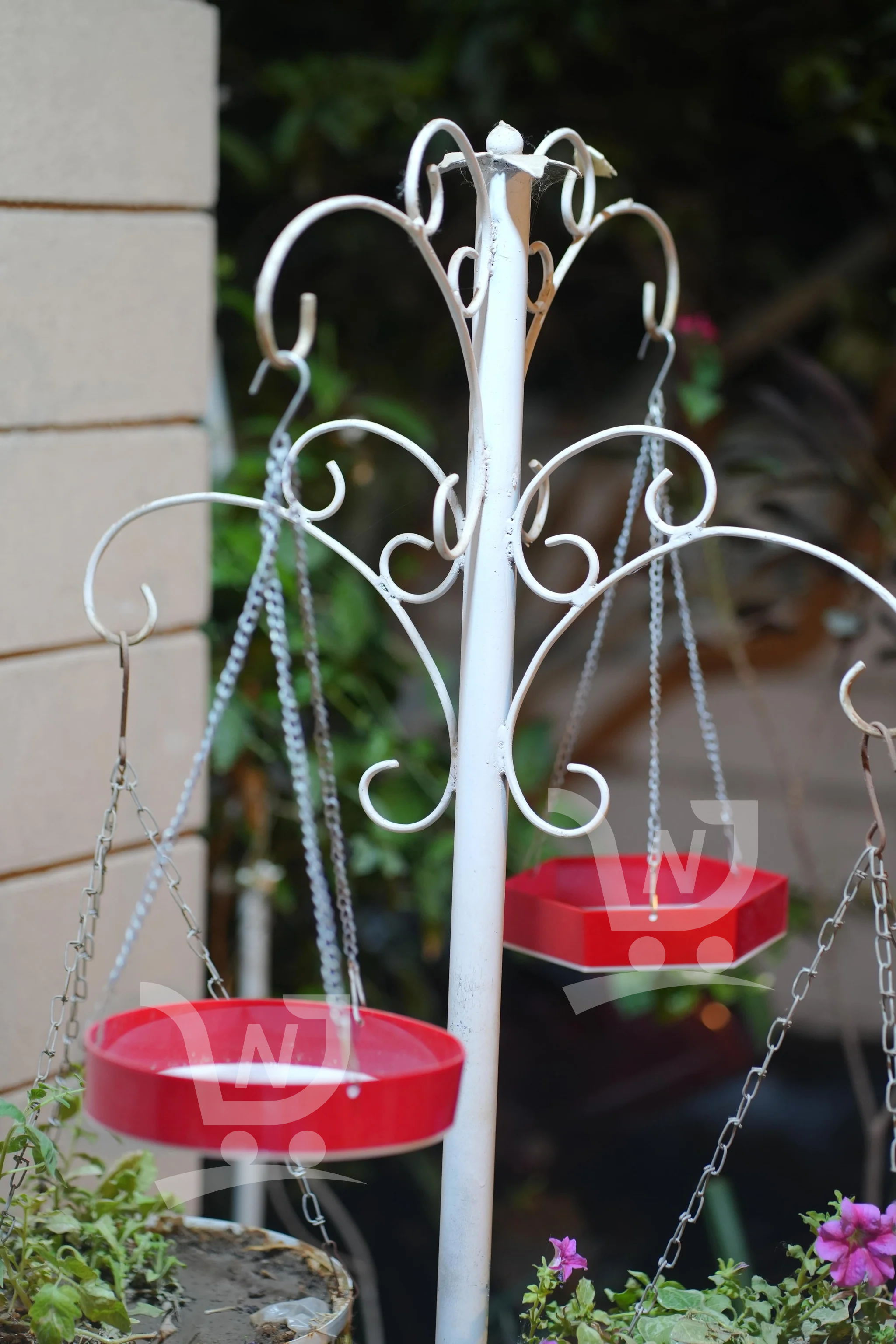 Water Bird Hanging Feeder