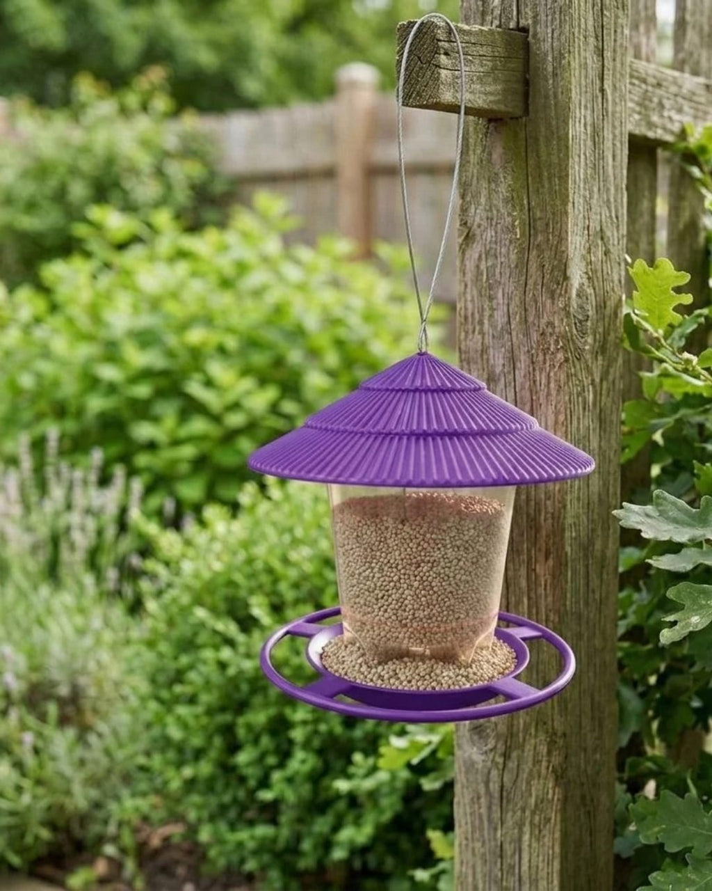 Bird Hanging Feeder