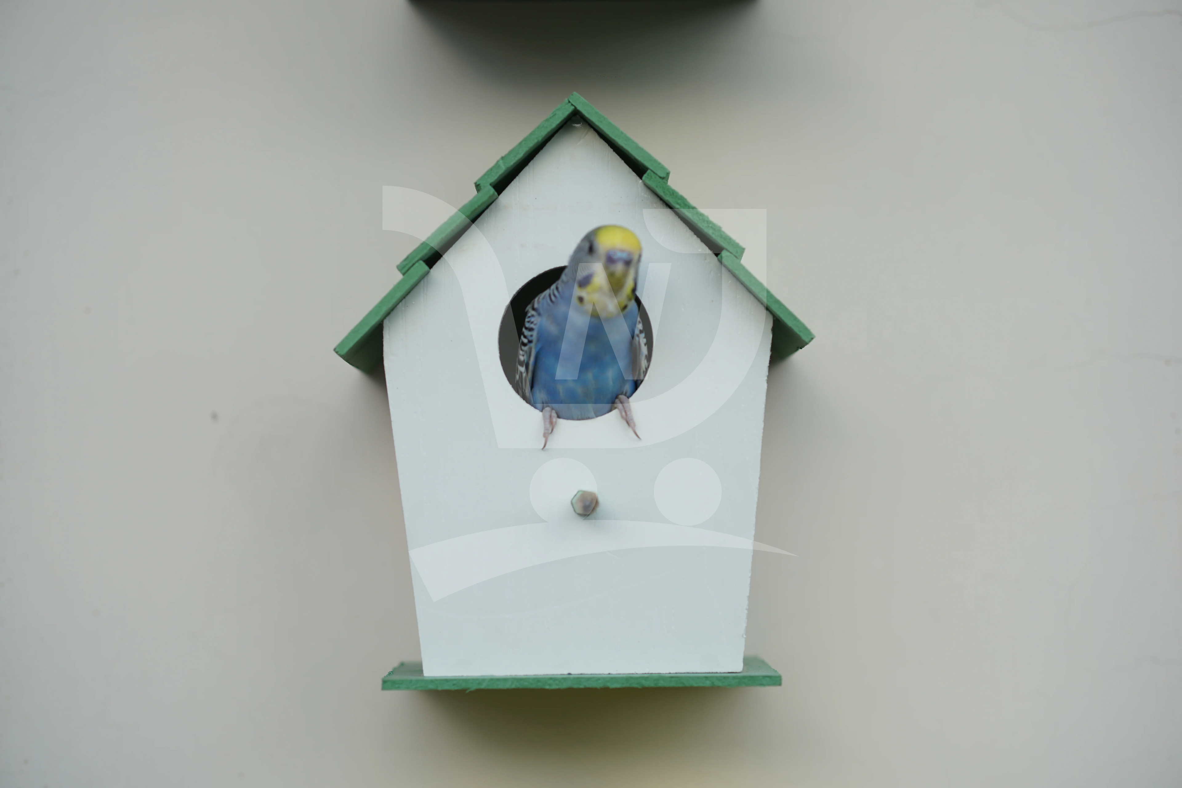 (Pack of 4) PVC Bird House Waterproof New Style
