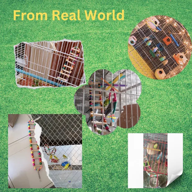 (Pack of 2) Ladder Swings for Birds – Colorful Wooden Climbing Ladders & Swing Toys for Parrots, Cockatiels & Small Birds