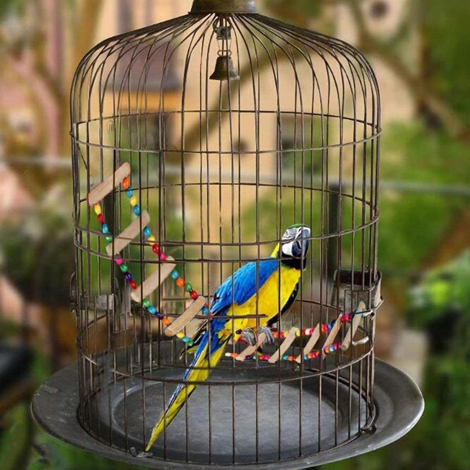 (Pack of 2) Ladder Swings for Birds – Colorful Wooden Climbing Ladders & Swing Toys for Parrots, Cockatiels & Small Birds