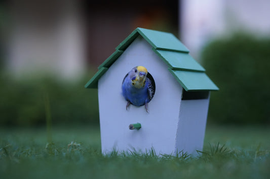 (Pack of 4) PVC Bird House Waterproof New Style