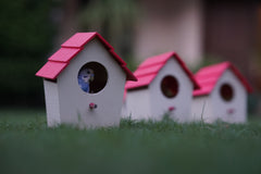 (Pack of 4) PVC Bird House Waterproof New Style