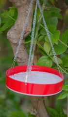 Water Bird Hanging Feeder
