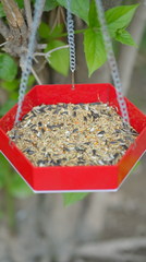Water Bird Hanging Feeder