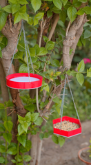 Water Bird Hanging Feeder