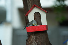 (Pack of 3) PVC Bird Feeder Waterproof