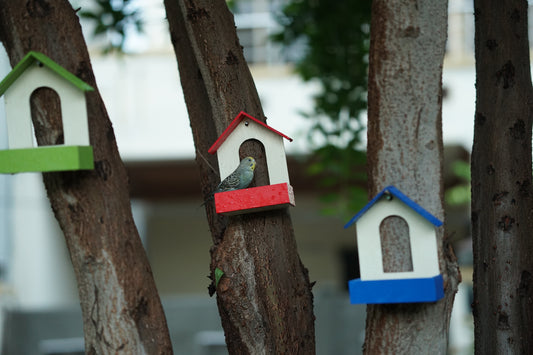 (Pack of 3) PVC Bird Feeder Waterproof