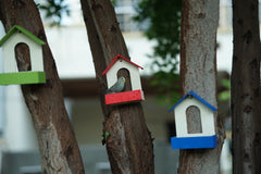 (Pack of 3) PVC Bird Feeder Waterproof