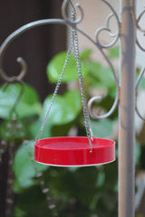 Water Bird Hanging Feeder