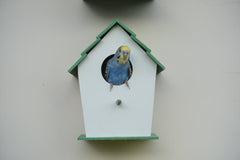 (Pack of 4) PVC Bird House Waterproof New Style