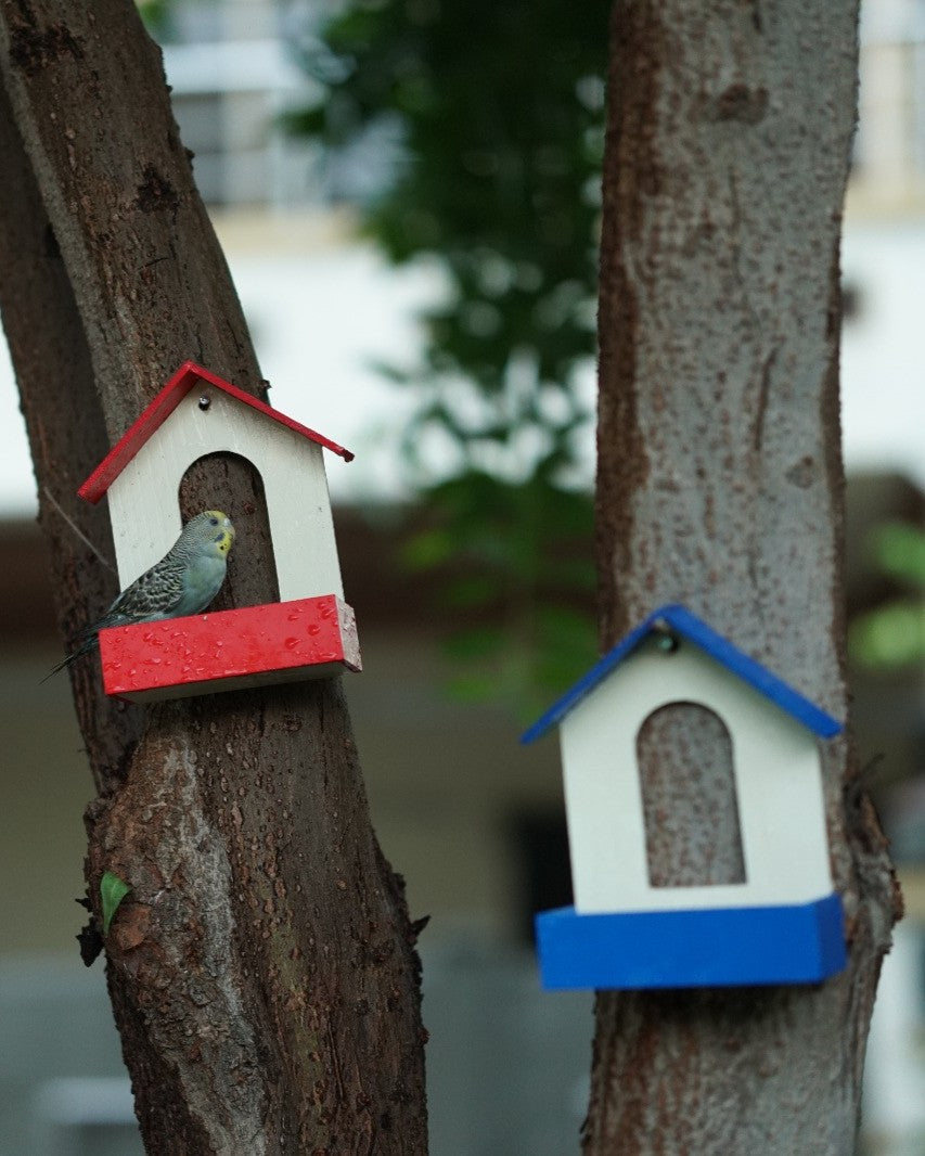 (Pack of 3) PVC Bird Feeder Waterproof