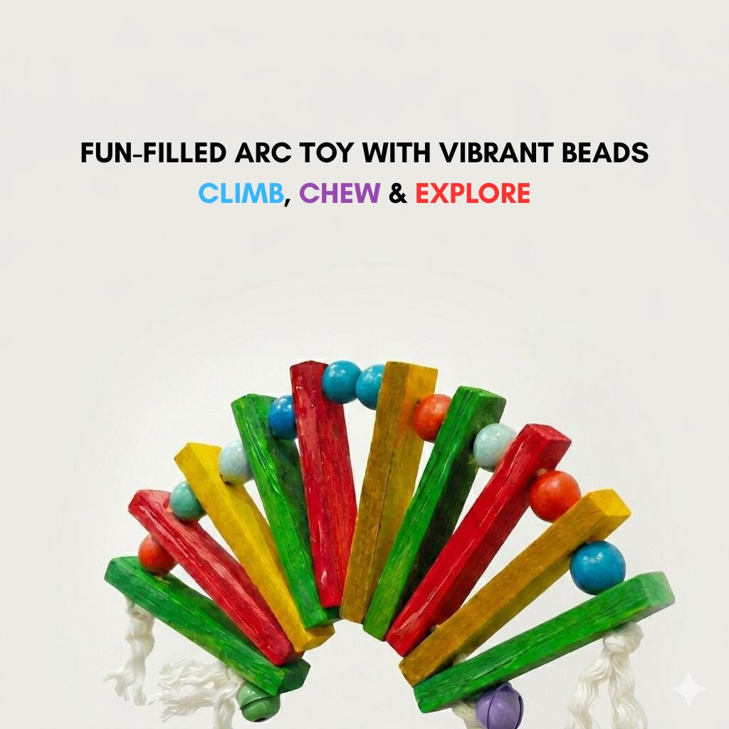 Arc Toy for Birds – Colorful Wooden Climbing Ladders & Swing Toys for Parrots, Cockatiels & Small Birds