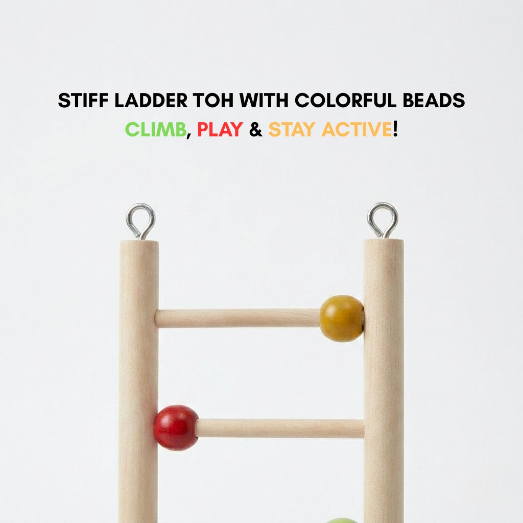(Pack of 2) Ladder Toy for Birds – Colorful Wooden Climbing Ladders & Swing Toys for Parrots, Cockatiels & Small Birds
