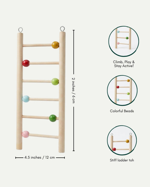 (Pack of 2) Ladder Toy for Birds – Colorful Wooden Climbing Ladders & Swing Toys for Parrots, Cockatiels & Small Birds