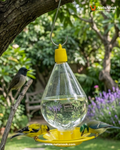 Bird Hanging Water Feeder