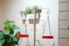 Water Bird Hanging Feeder