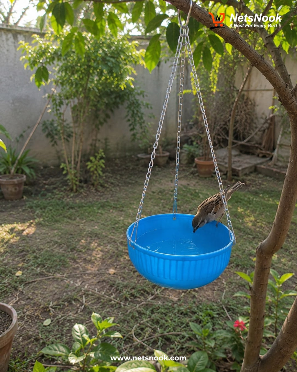 Bird Bowl Hanging Feeder