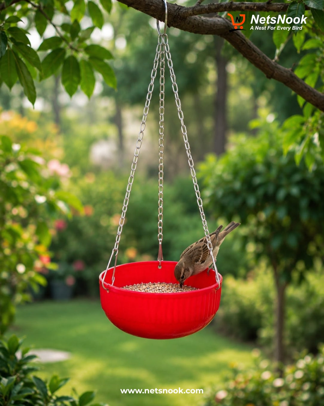 Bird Bowl Hanging Feeder