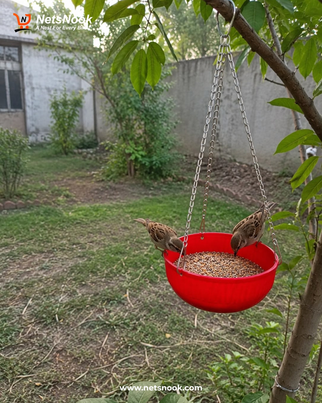 Bird Bowl Hanging Feeder