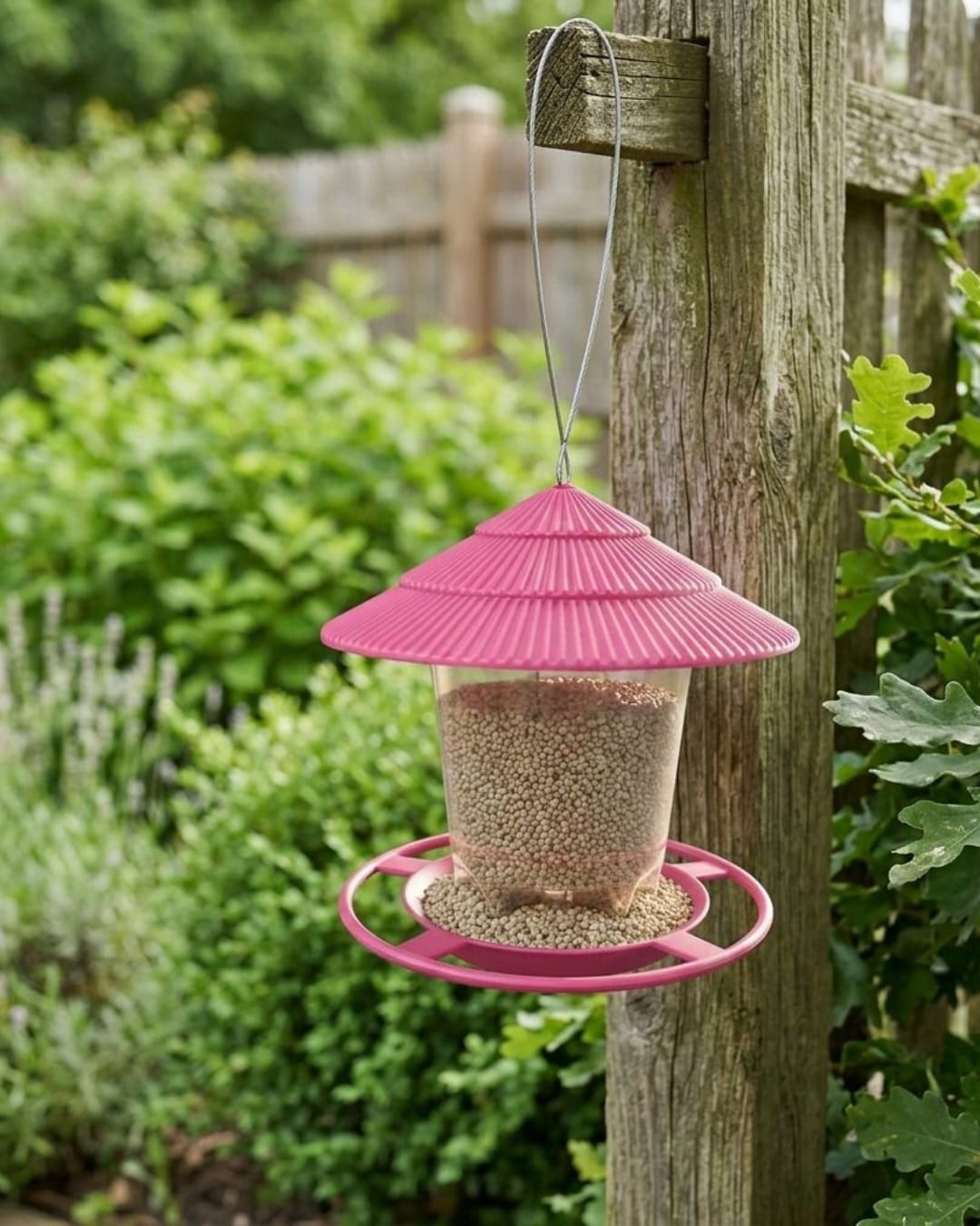 Bird Hanging Feeder