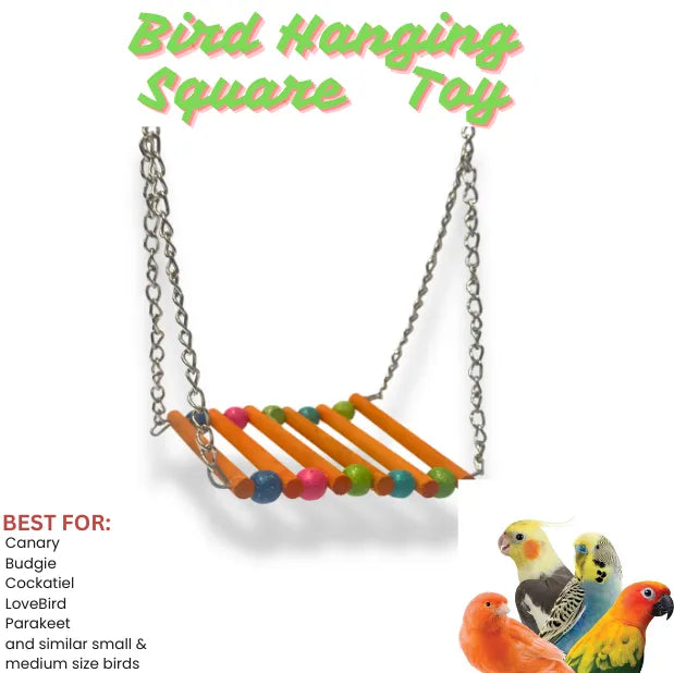 (Pack of 2) Straight Swings – Colorful Wooden Ladder & Swing Set for Parakeets, Cockatiels, Conures & Small Birds