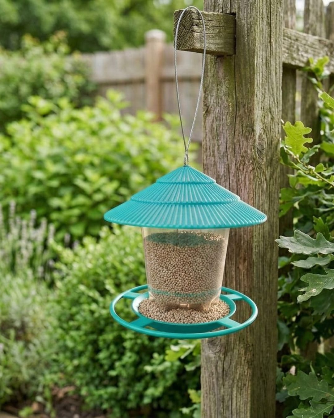 Bird Hanging Feeder