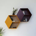 Set of 2 Luxury Modern Wooden Wall Shelves – MDF Laminated Wood Shelves for Stylish Home Decor
