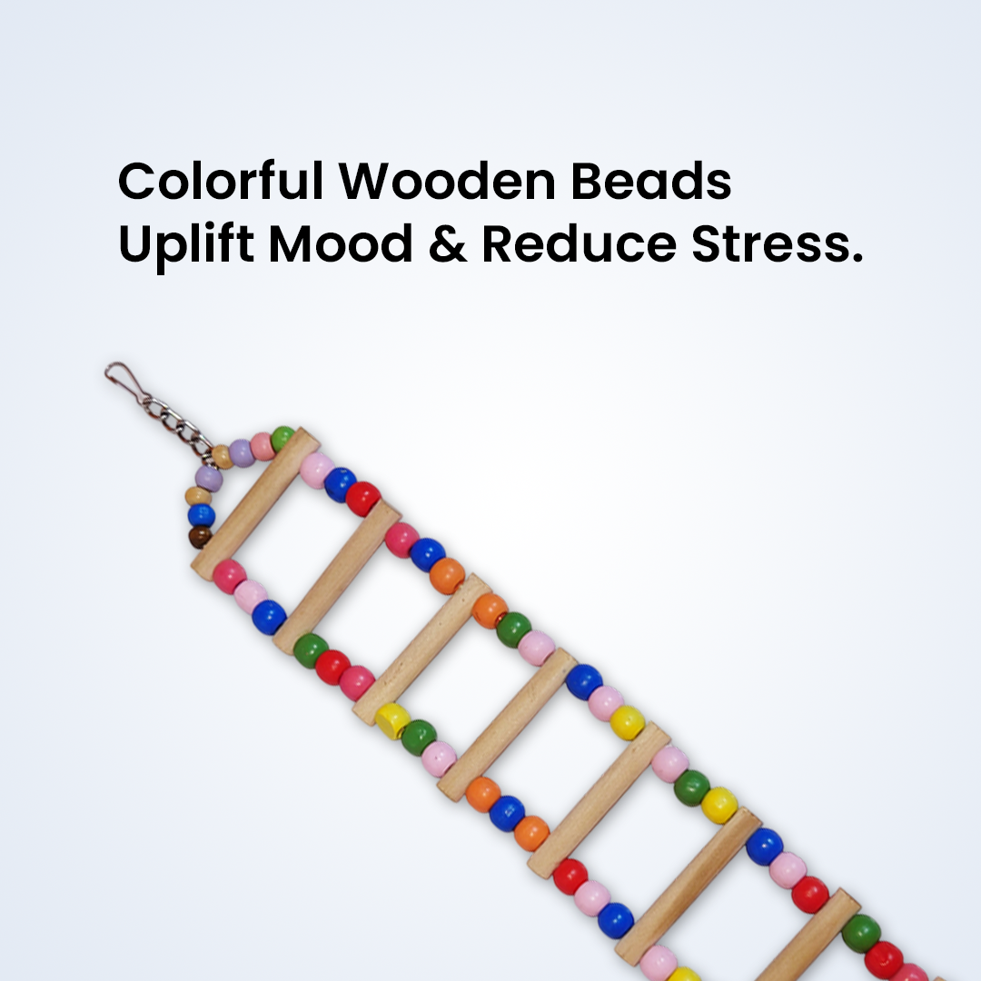 (Pack of 2) Ladder Swings for Birds – Colorful Wooden Climbing Ladders & Swing Toys for Parrots, Cockatiels & Small Birds