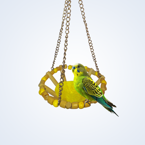 (Pack of 2)  Round Bird Swings – Wooden Ladder & Colorful Swing Combo for Parakeets, Cockatiels, Conures & Small Birds